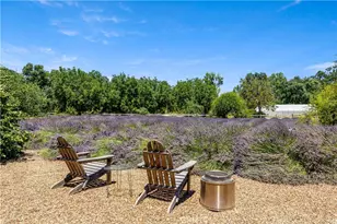 4550 Soda Bay, Kelseyville, CA 95451 - Photo 41