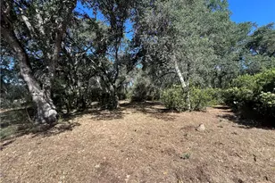 15100 Lakeview, Clearlake, CA 95422 - Photo 19