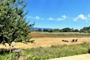 2260 Lakeshore, Upper Lake, CA 95485 - Photo 5