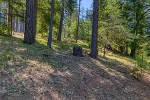 15800 Rainbow, Cobb, CA 95426 - Photo 53