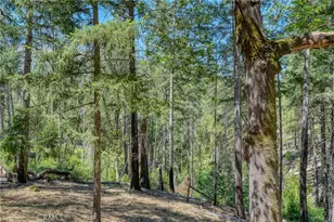 16121 Golf, Cobb, CA 95426 - Photo 21