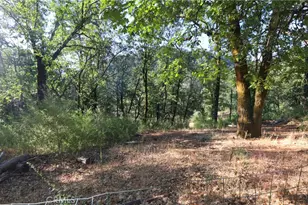 15305 Western Mine Rd, Middletown, CA 95461 - Photo 37