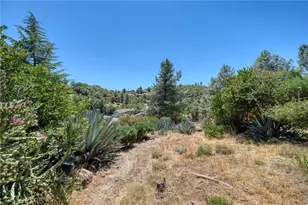 10377 Walnut, Kelseyville, CA 95451 - Photo 57