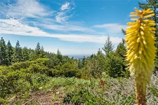 24680 Ten Mile Rd, Point Arena, CA 95468 - Photo 7