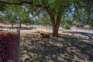 20766 Yankee Valley, Hidden Valley Lake, CA 95467 - Photo 43