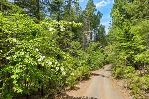 10401 Rosa, Kelseyville, CA 95451 - Photo 49