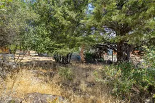 10055 Monte Cristo, Kelseyville, CA 95451 - Photo 35
