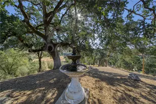 12431 Elk Mountain, Upper Lake, CA 95485 - Photo 53