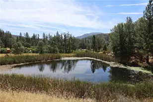 13095 Bottle Rock, Cobb, CA 95426 - Photo 17