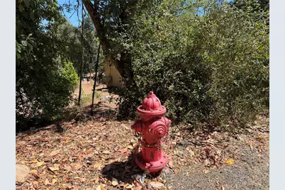 8100 Soda Bay Road, Kelseyville, CA 95451 - Photo 45