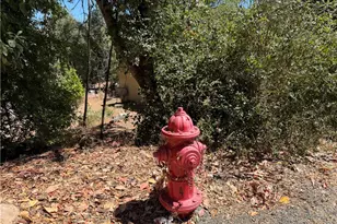 8100 Soda Bay Rd, Kelseyville, CA 95451 - Photo 45