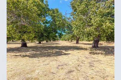 1860 Hummel Lane, Kelseyville, CA 95451 - Photo 47