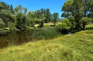 12955 Bottle Rock, Kelseyville, CA 95451 - Photo 13