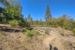 8255 High Valley Rd, Cobb, CA 95426 - Photo 33