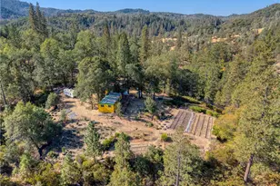 8255 High Valley Rd, Cobb, CA 95426 - Photo 45