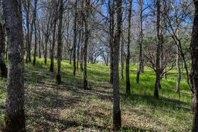 1001 Louis Way, Lakeport, CA 95453 - Photo 39