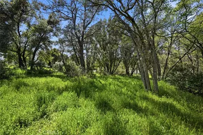 15560 20th Avenue, Clearlake, CA 95422 - Photo 21