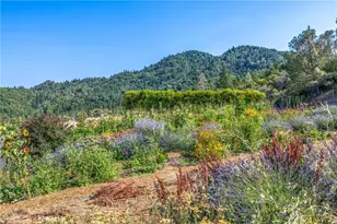 14507 Western Mine, Middletown, CA 95461 - Photo 59