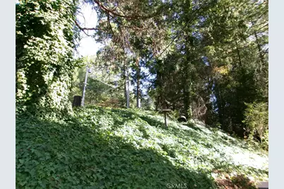 11833 Western Pine, Loch Lomond, CA 95461 - Photo 23