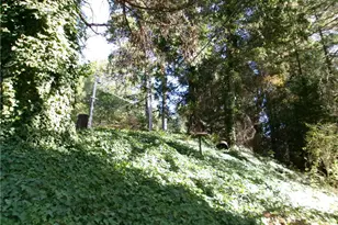 11833 Western Pine, Loch Lomond, CA 95461 - Photo 23