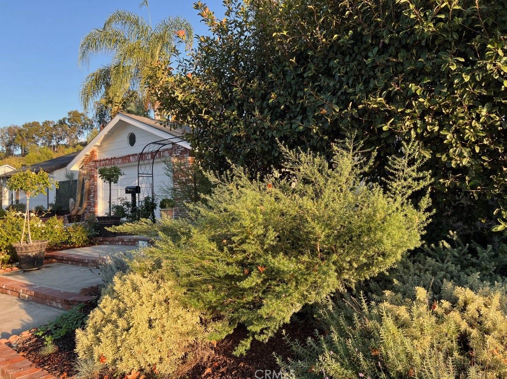 28956 Aloma Ave, Laguna Beach CA  92677-1410 exterior