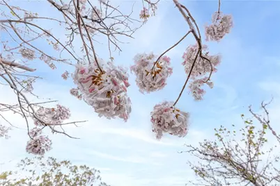 29972 Chihuahua Valley Road, Warner Springs, CA 92086 - Photo 23