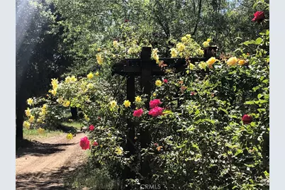 29972 Chihuahua Valley Road, Warner Springs, CA 92086 - Photo 13