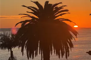 2175 S Coast Hwy, Laguna Beach, CA 92651 - Photo 9