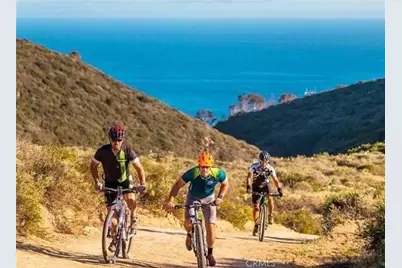 1445 Bluebird Canyon, Laguna Beach, CA 92651 - Photo 23