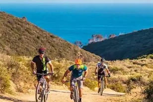 1445 Bluebird Canyon, Laguna Beach, CA 92651 - Photo 23