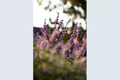 1659 W Knapp, Vista, CA 92083 - Photo 39