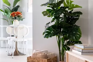 1659 W Knapp, Vista, CA 92083 - Photo 61