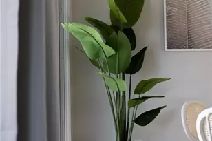 1659 W Knapp, Vista, CA 92083 - Photo 55