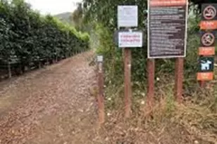 31507 Eagle Rock Way, Laguna Beach, CA 92651 - Photo 37