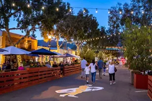 31507 Eagle Rock Way, Laguna Beach, CA 92651 - Photo 39