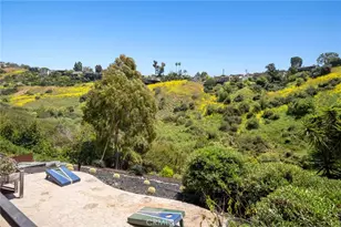 1435 Cerritos Dr, Laguna Beach, CA 92651 - Photo 39
