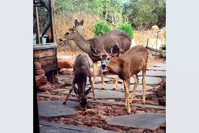 39280 Redonda Mesa, Murrieta, CA 92562 - Photo 5