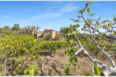 30662 Hilltop Way, San Juan Capistrano, CA 92675 - Photo 65