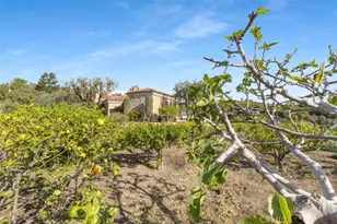 30662 Hilltop Way, San Juan Capistrano, CA 92675 - Photo 65