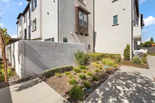 3667 Elm Ave, Long Beach, CA 90807 - Photo 29