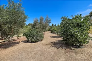 647 Tumble Creek Ln, Fallbrook, CA 92028 - Photo 51