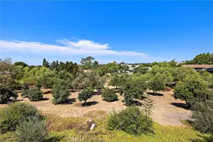 647 Tumble Creek Ln, Fallbrook, CA 92028 - Photo 51