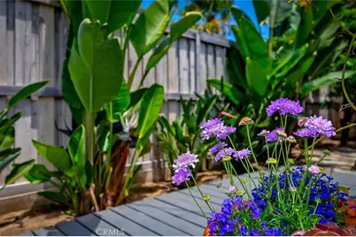 31521 Summit Road, Laguna Beach, CA 92651 - Photo 5