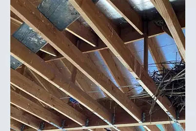 14555 Bellflower Road, Santa Margarita, CA 93453 - Photo 43