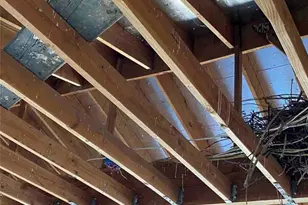 14555 Bellflower Rd, Santa Margarita, CA 93453 - Photo 43