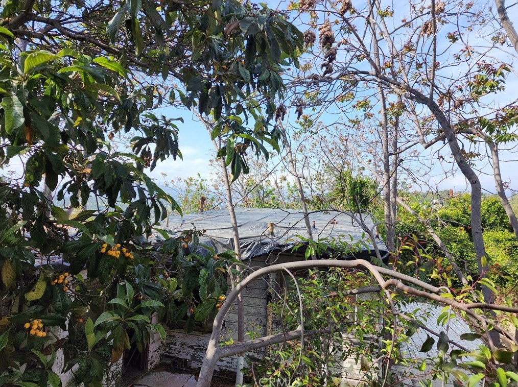 1832 Burnell Dr, Los Angeles CA  90065-1910 exterior