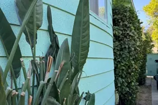 1199 W 38th St, Los Angeles, CA 90037 - Photo 5