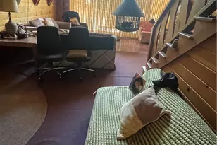 24327 24327 Montreaux, Crestline, CA 92325 - Photo 19