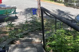 24327 24327 Montreaux, Crestline, CA 92325 - Photo 25