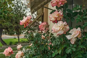 9465 Sharon Way, Calimesa, CA 92320 - Photo 17